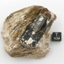 Dravit/Turmalin braun Kristall aus Australien