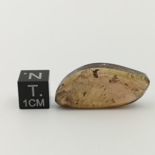 Turmalin mehrf. Cabochon