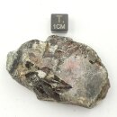 Honigblende