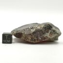 Honigblende