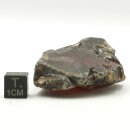 Honigblende