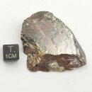 Honigblende