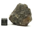 Honigblende