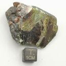 Honigblende