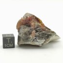 Honigblende