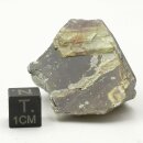 Honigblende