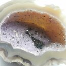 Achat Chalcedon Amethyst Drusen Stück