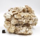 Chalcedon Stufe