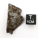 Eisenmeteorit Argentinien ca. 13g
