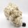 Chalcedon Stufe