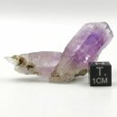 Amethyst Vera Cruz