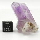 Amethyst Vera Cruz