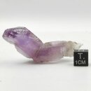 Amethyst Vera Cruz