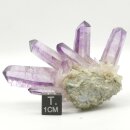 Amethyst Vera Cruz