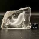 Bergkristall/Rauchquarz mit Delfin Gravur