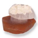 Achat Pilzgravur mit Drusy