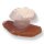 Achat Pilzgravur mit Drusy