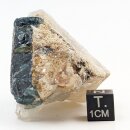 Blauer Turmalin Kristall in Quarz