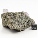 Amethyst Kristall auf Matrix