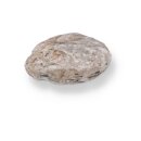 Alabaster Linse