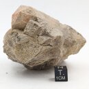 Dolomoit Pseudomorph nach Calcit