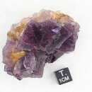 Fluorit Kristallstufe