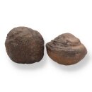 Moqui Marbles Paar