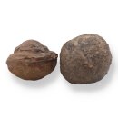 Moqui Marbles Paar
